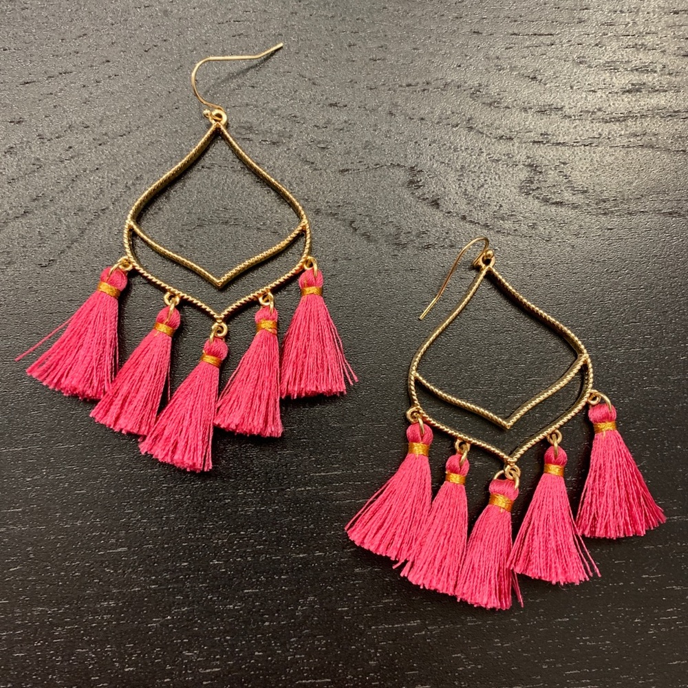 Francesca’s Drop Hoop Earnings